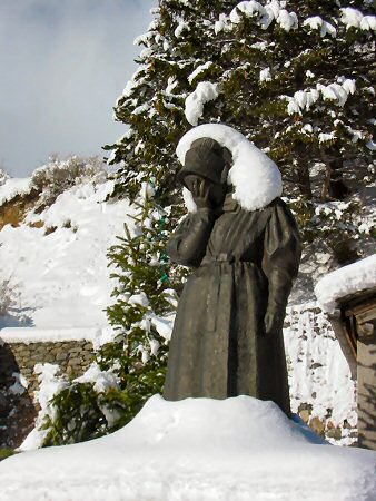 Pleureuse en hiver